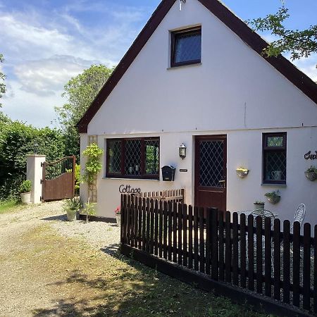 Bosvean Cottage Bude Exteriör bild